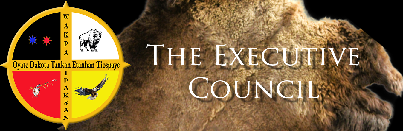 Executive Web Banner-3