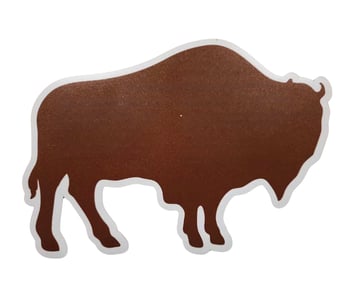 chr buffalo